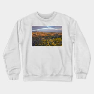 WGC_2362 Crewneck Sweatshirt